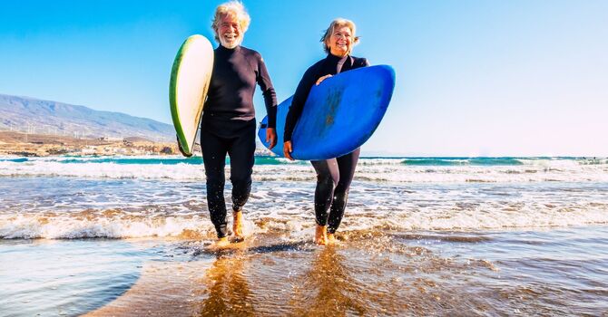 Large Animal Chiropractic