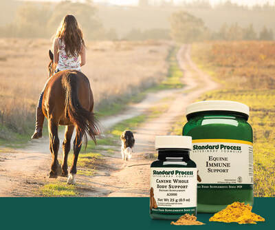 Link to: /programs/nutrition-and-supplements